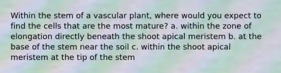 Within the stem of a vascular plant, where would you expect to find the cells that are the most mature? a. within the zone of elongation directly beneath the shoot apical meristem b. at the base of the stem near the soil c. within the shoot apical meristem at the tip of the stem