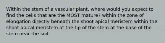 Within the stem of a vascular plant, where would you expect to find the cells that are the MOST mature? within the zone of elongation directly beneath the shoot apical meristem within the shoot apical meristem at the tip of the stem at the base of the stem near the soil