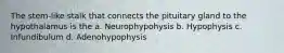 The stem-like stalk that connects the pituitary gland to the hypothalamus is the a. Neurophypohysis b. Hypophysis c. Infundibulum d. Adenohypophysis