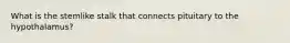 What is the stemlike stalk that connects pituitary to the hypothalamus?