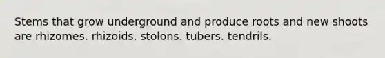 Stems that grow underground and produce roots and new shoots are rhizomes. rhizoids. stolons. tubers. tendrils.