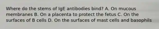 Where do the stems of IgE antibodies bind? A. On mucous membranes B. On a placenta to protect the fetus C. On the surfaces of B cells D. On the surfaces of mast cells and basophils