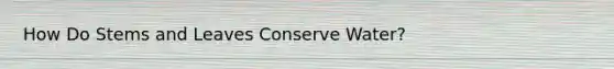 How Do Stems and Leaves Conserve Water?