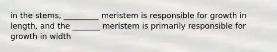 in the stems, _________ meristem is responsible for growth in length, and the _______ meristem is primarily responsible for growth in width