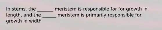 In stems, the _______ meristem is responsible for for growth in length, and the ______ meristem is primarily responsible for growth in width