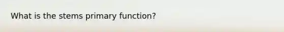 What is the stems primary function?