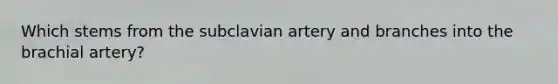 Which stems from the subclavian artery and branches into the brachial artery?