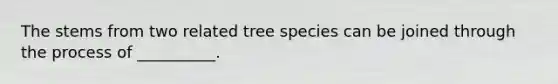 The stems from two related tree species can be joined through the process of __________.