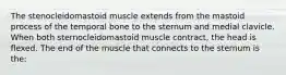 The stenocleidomastoid muscle extends from the mastoid process of the temporal bone to the sternum and medial clavicle. When both sternocleidomastoid muscle contract, the head is flexed. The end of the muscle that connects to the sternum is the: