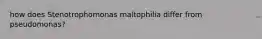 how does Stenotrophomonas maltophilia differ from pseudomonas?