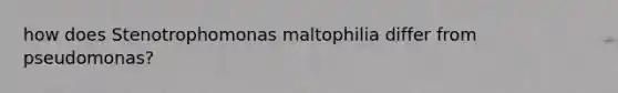 how does Stenotrophomonas maltophilia differ from pseudomonas?