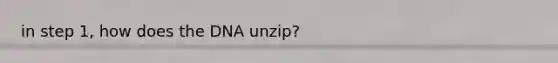 in step 1, how does the DNA unzip?