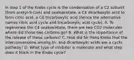 In step 1 of the Krebs cycle is the condensation of a C2 subunit (from acetyl-S-CoA) and oxaloacetate, a C4 dicarboxylic acid to form citric acid, a C6 tricarboxylic acid (hence the alternative names citric acid cycle and tricarboxylic acid cycle). A. To regenerate the C4 oxaloacetate, there are two CO2 molecules where did those two carbons go? B. What is the importance of the release of these carbons? C. How did Sir Hans Krebs that the interconversions among tri- and dicarboxylic acids are a cyclic pathway? D. What type of inhibitor is malonate and what step does it block in the Krebs cycle?