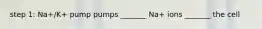 step 1: Na+/K+ pump pumps _______ Na+ ions _______ the cell