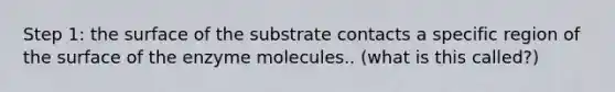 Step 1: the surface of the substrate contacts a specific region of the surface of the enzyme molecules.. (what is this called?)