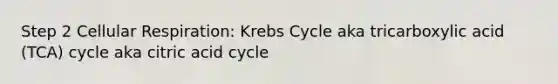 Step 2 Cellular Respiration: Krebs Cycle aka tricarboxylic acid (TCA) cycle aka citric acid cycle