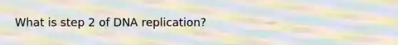 What is step 2 of DNA replication?