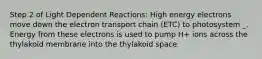 Step 2 of Light Dependent Reactions: High energy electrons move down the electron transport chain (ETC) to photosystem _. Energy from these electrons is used to pump H+ ions across the thylakoid membrane into the thylakoid space