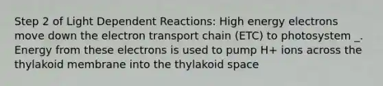 Step 2 of Light Dependent Reactions: High energy electrons move down the electron transport chain (ETC) to photosystem _. Energy from these electrons is used to pump H+ ions across the thylakoid membrane into the thylakoid space