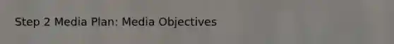 Step 2 Media Plan: Media Objectives