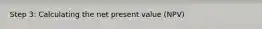 Step 3: Calculating the net present value (NPV)