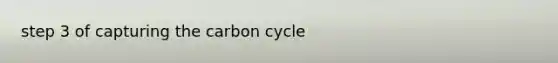 step 3 of capturing <a href='https://www.questionai.com/knowledge/kMvxsmmBPd-the-carbon-cycle' class='anchor-knowledge'>the carbon cycle</a>