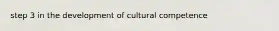 step 3 in the development of cultural competence