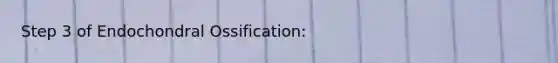 Step 3 of Endochondral Ossification: