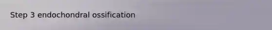 Step 3 endochondral ossification