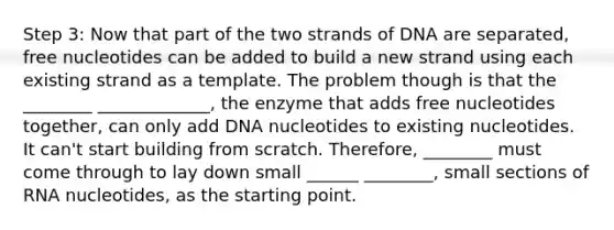 Step 3: Now that part of the two strands of DNA are separated, free nucleotides can be added to build a new strand using each existing strand as a template. The problem though is that the ________ _____________, the enzyme that adds free nucleotides together, can only add DNA nucleotides to existing nucleotides. It can't start building from scratch. Therefore, ________ must come through to lay down small ______ ________, small sections of RNA nucleotides, as the starting point.