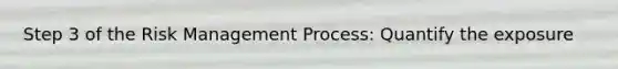 Step 3 of the Risk Management Process: Quantify the exposure