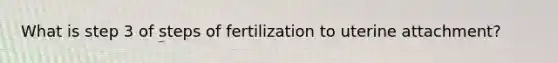 What is step 3 of steps of fertilization to uterine attachment?