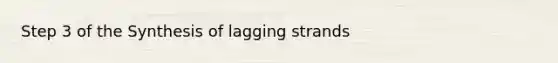 Step 3 of the Synthesis of lagging strands