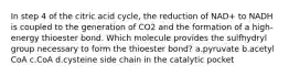 ​In step 4 of the citric acid cycle, the reduction of NAD+ to NADH is coupled to the generation of CO2 and the formation of a high-energy thioester bond. Which molecule provides the sulfhydryl group necessary to form the thioester bond? ​a.​pyruvate ​b.​acetyl CoA ​c.​CoA ​d.​cysteine side chain in the catalytic pocket