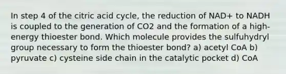 In step 4 of the citric acid cycle, the reduction of NAD+ to NADH is coupled to the generation of CO2 and the formation of a high-energy thioester bond. Which molecule provides the sulfuhydryl group necessary to form the thioester bond? a) acetyl CoA b) pyruvate c) cysteine side chain in the catalytic pocket d) CoA