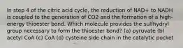 In step 4 of the citric acid cycle, the reduction of NAD+ to NADH is coupled to the generation of CO2 and the formation of a high-energy thioester bond. Which molecule provides the sulfhydryl group necessary to form the thioester bond? (a) pyruvate (b) acetyl CoA (c) CoA (d) cysteine side chain in the catalytic pocket