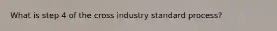 What is step 4 of the cross industry standard process?