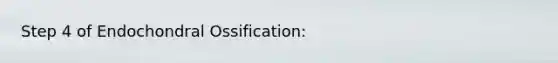 Step 4 of Endochondral Ossification: