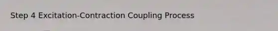 Step 4 Excitation-Contraction Coupling Process