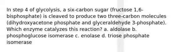 In step 4 of glycolysis, a six-carbon sugar (fructose 1,6-bisphosphate) is cleaved to produce two three-carbon molecules (dihydroxyacetone phosphate and glyceraldehyde 3-phosphate). Which enzyme catalyzes this reaction? a. aldolase b. phosphoglucose isomerase c. enolase d. triose phosphate isomerase