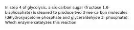 In step 4 of glycolysis, a six-carbon sugar (fructose 1,6-bisphosphate) is cleaved to produce two three-carbon molecules (dihydroxyacetone phosphate and glyceraldehyde 3- phosphate). Which enzyme catalyzes this reaction