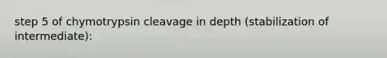 step 5 of chymotrypsin cleavage in depth (stabilization of intermediate):