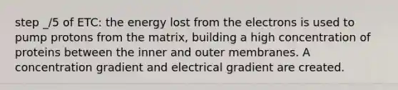 step _/5 of ETC: the energy lost from the electrons is used to pump protons from the matrix, building a high concentration of proteins between the inner and outer membranes. A concentration gradient and electrical gradient are created.