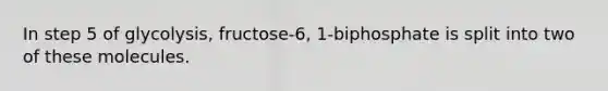 In step 5 of glycolysis, fructose-6, 1-biphosphate is split into two of these molecules.