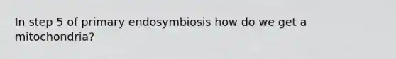 In step 5 of primary endosymbiosis how do we get a mitochondria?