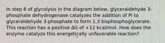 In step 6 of glycolysis in the diagram below, glyceraldehyde 3-phosphate dehydrogenase catalyzes the addition of Pi to glyceraldehyde 3-phosphate to form 1,3 bisphosphoglycerate. This reaction has a positive ∆G of +12 kcal/mol. How does the enzyme catalyze this energetically unfavorable reaction?