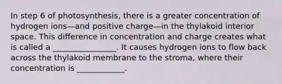 In step 6 of photosynthesis, there is a greater concentration of hydrogen ions—and positive charge—in the thylakoid interior space. This difference in concentration and charge creates what is called a ________________. It causes hydrogen ions to flow back across the thylakoid membrane to the stroma, where their concentration is ____________.