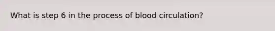 What is step 6 in the process of blood circulation?