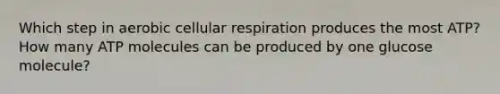 Which step in aerobic cellular respiration produces the most ATP? How many ATP molecules can be produced by one glucose molecule?