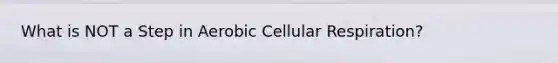 What is NOT a Step in Aerobic Cellular Respiration?